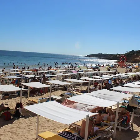 Cip-t2 Navy Lejlighed Albufeira
